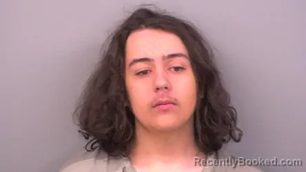 Mugshot of AUSTIN MELLIS