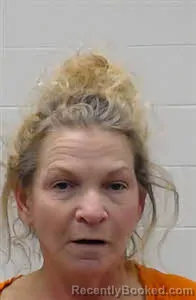 Mugshot of MELISSA ANN STAGGS