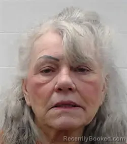 Mugshot of SHARILYN KAY YOUNG