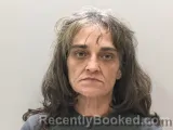Booking photo from Wilson County, Tennessee