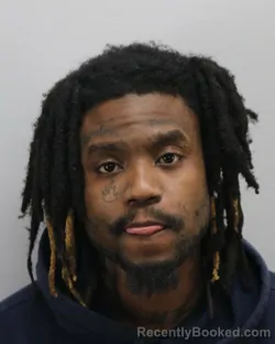 Mugshot of BRADY LEE FOX