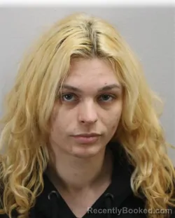 Mugshot of SARA ROSE EDWARDS