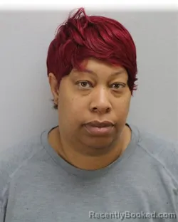 Mugshot of SHANETTE MILDRED JOHNSON