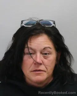 Mugshot of TAMMY LYNN CUNNINGHAM
