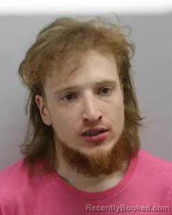 Mugshot of EDWIN ROSS VENSLAND