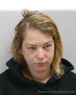 Mugshot of MEGAN NICOLE DOWNARD