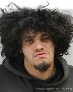 Mugshot of ETHAN ALLEN GIOVAN BARNES