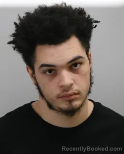 Mugshot of ALEXANDER EARLY