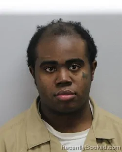Mugshot of ICESIS PAREZ DAVIS