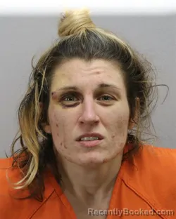 Mugshot of MELISSA ANNE FOLEY