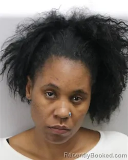 Mugshot of BRITNEY LATOYA CAMARGO