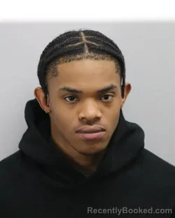 Mugshot of SHAWN LAMIRE CHESTNUT