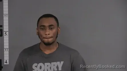 Mugshot of BRIAN OWENS