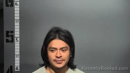 Mugshot of DARWIN SANCHEZ-BERNAL