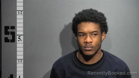 Mugshot of GARY EVANS