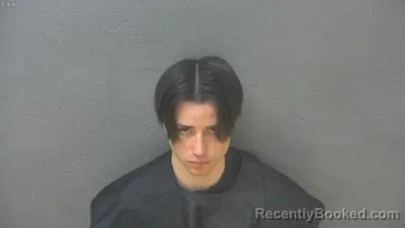 Mugshot of AARON CODY EVANS
