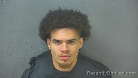Mugshot of BRYSON ORION BRANDON