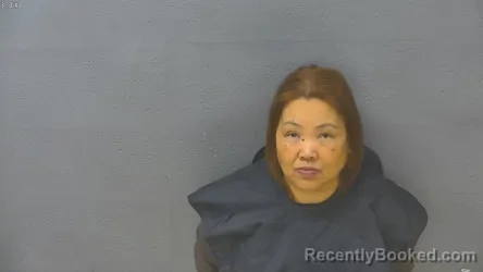 Mugshot of NINA NOWLIN