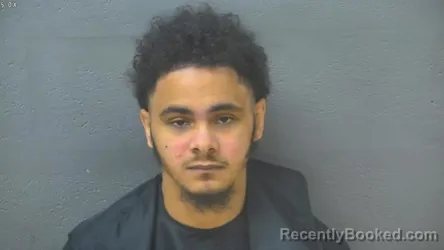 Mugshot of QUISAAN AMARI JOHNSON