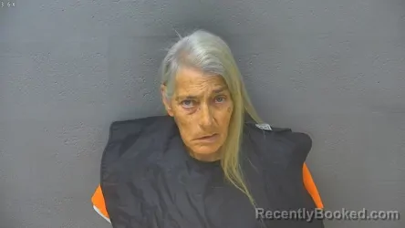 Mugshot of VICKIE LYNN WILKERSON