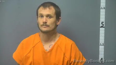 Mugshot of SHAWN LEWIS INGRAM