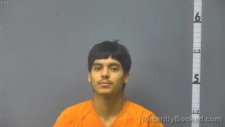 Mugshot of GERSON ALEJANDRO RODRIGUEZ RODRIGUEZ