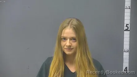 Booking photo from Waynesboro County, Virginia