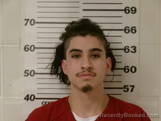 Mugshot of HUGO PEREZ