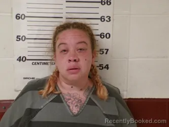 Mugshot of KRISA LEANNE WHITE