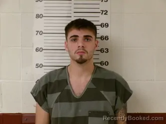 Booking photo from Henderson County, Texas