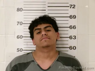 Mugshot of JUAN GARCIA