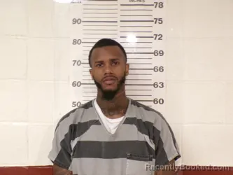 Mugshot of TERRY E SHAMLIN