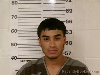 Mugshot of ADAN LUNA-ROSAS