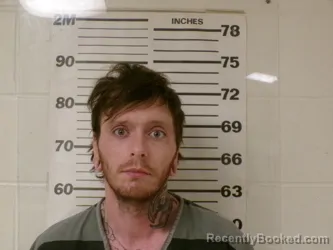 Mugshot of JEREMY LOUIS WULLAERT