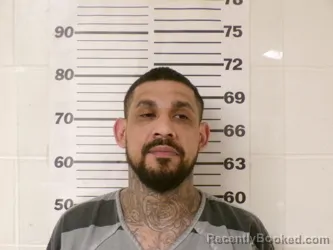 Mugshot of IVAN RUIZ
