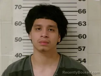 Mugshot of BRYAN ESTRADA-MAXIMO