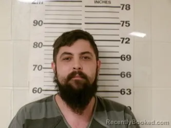 Mugshot of ALYNN CLAVIN POWELL