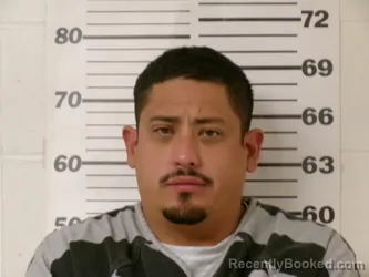 Mugshot of MOSES COLIN