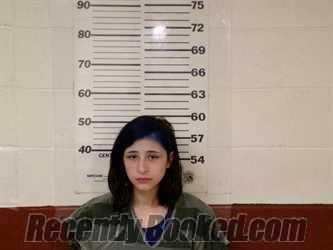 Booking photo from Henderson County, Texas