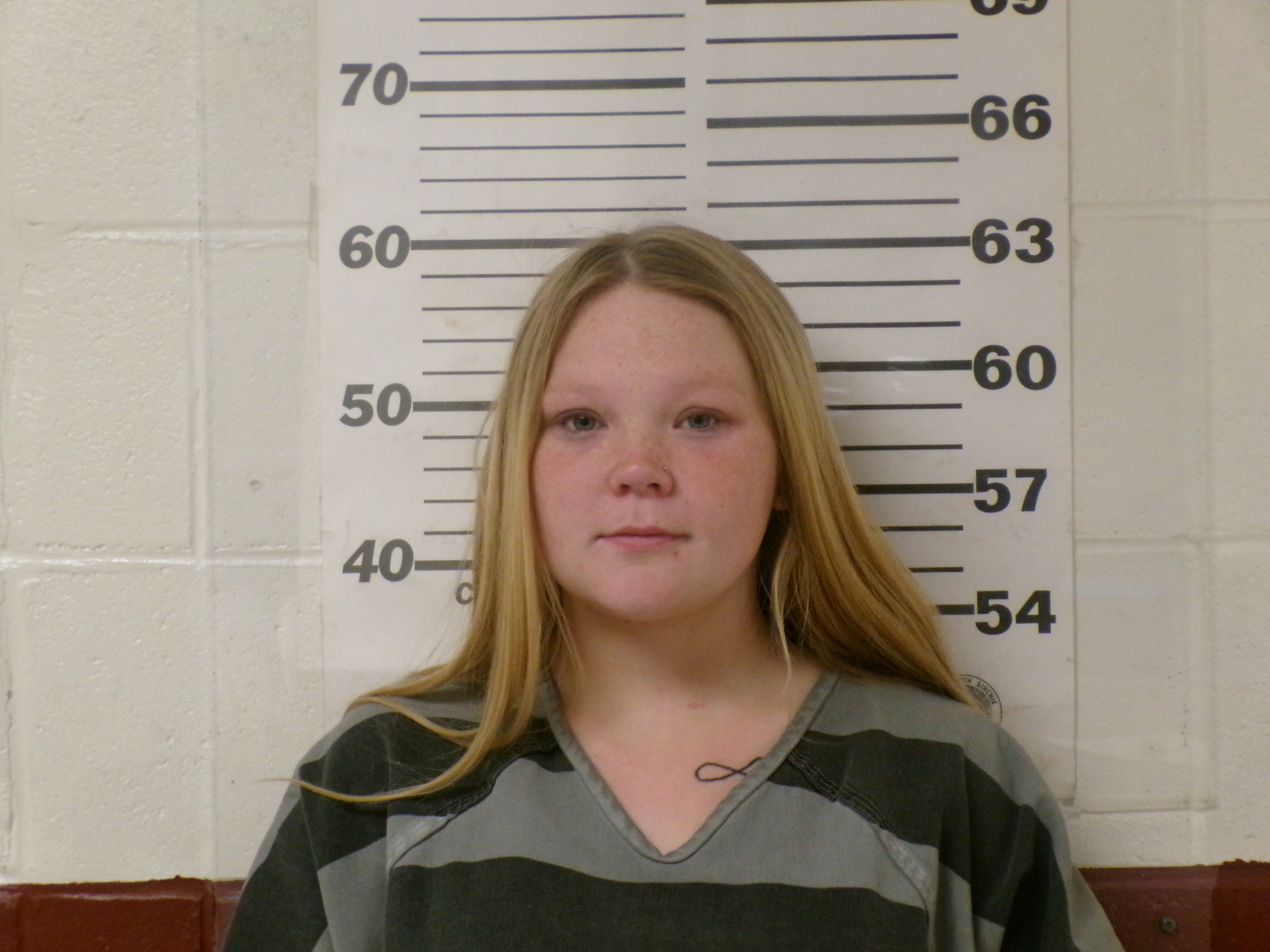Booking photo from Henderson County, Texas