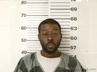 Booking photo from Henderson County, Texas