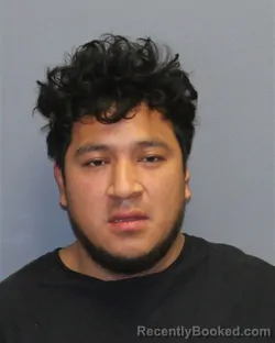 Mugshot of LUIS JORGE AMBROSO