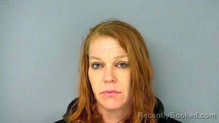 Mugshot of ANGELA ANN GAIDOWSKI