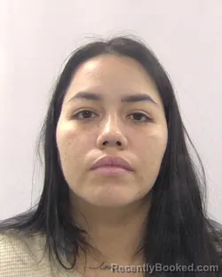 Mugshot of Diana Carolina Ramirez-Arias