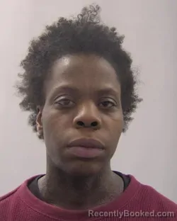 Mugshot of Sydnei Angela Bowman