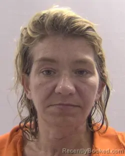 Mugshot of Amanda Lynn Darden