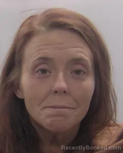 Mugshot of Melissa Megan McNamee