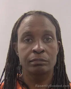 Mugshot of Anita Diann Boyd