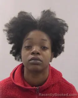 Mugshot of Jaeda Aliya Jones