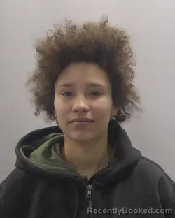Mugshot of Kyra Janae Williams